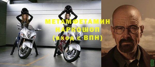 прущие грибы Корсаков