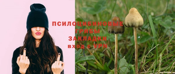 спайс Кодинск