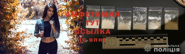 молекула духа Коряжма