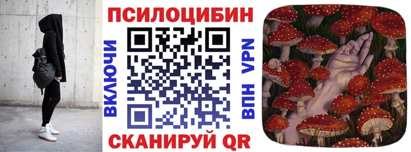 Купить  Лангепас  Галлюциногенные грибы Psilocybe 