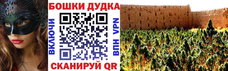 Купить где  Лангепас  МАРИХУАНА SATIVA & INDICA 